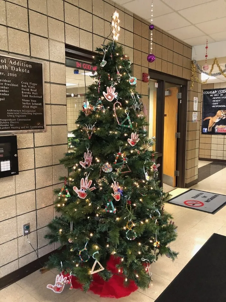 Middle School Tree Ornaments | Viborg-Hurley School District
