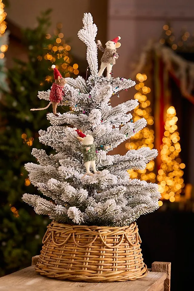 Mini Looping Rattan Tree Collar | Terrain