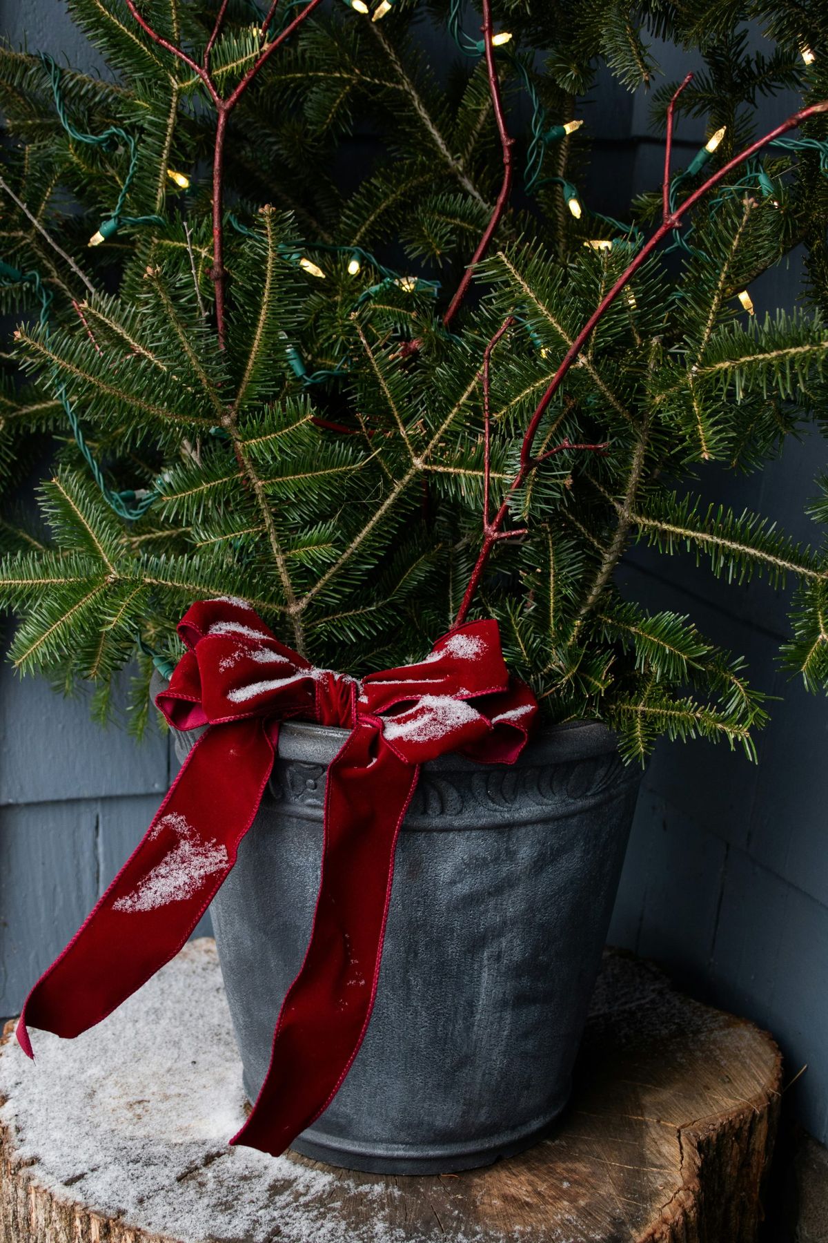 My mother designed this pot of pine branches, red sticks, lights, and velvet bow one year for Christmas. I love how she often reuses the leftover tree trimmings for decor around the house.
