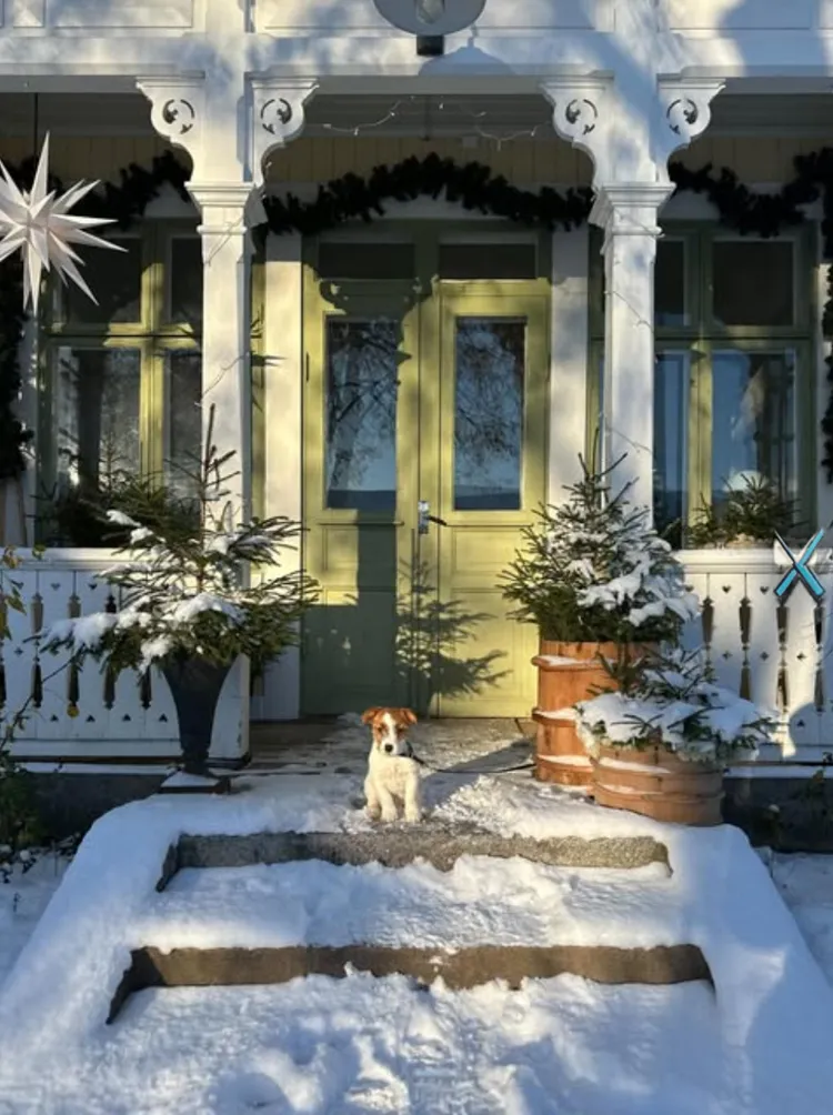 my scandinavian home: A Warm Swedish Christmas: Inside Sanna's Country Home