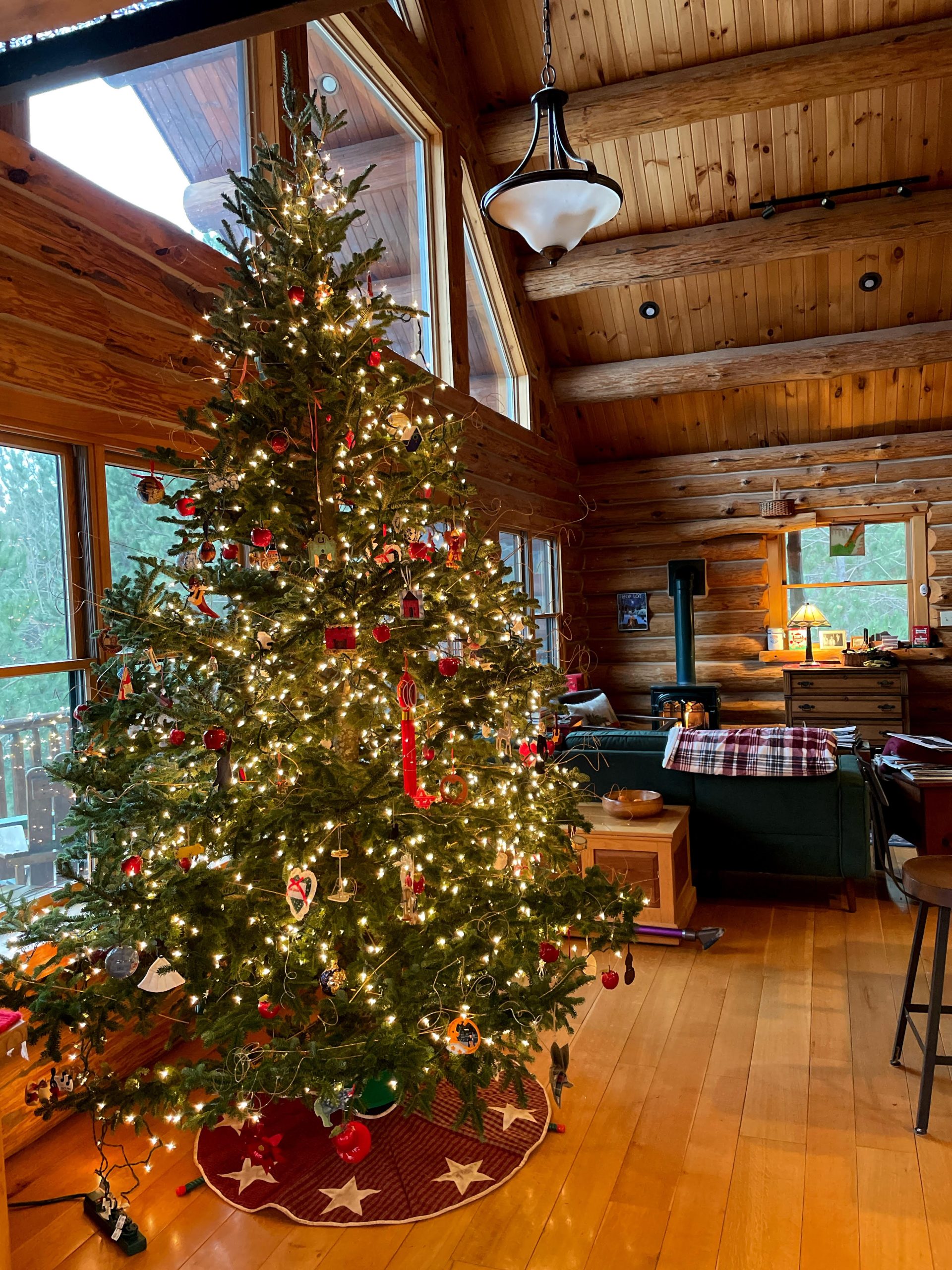 O Christmas Tree | Teacher in a strange land