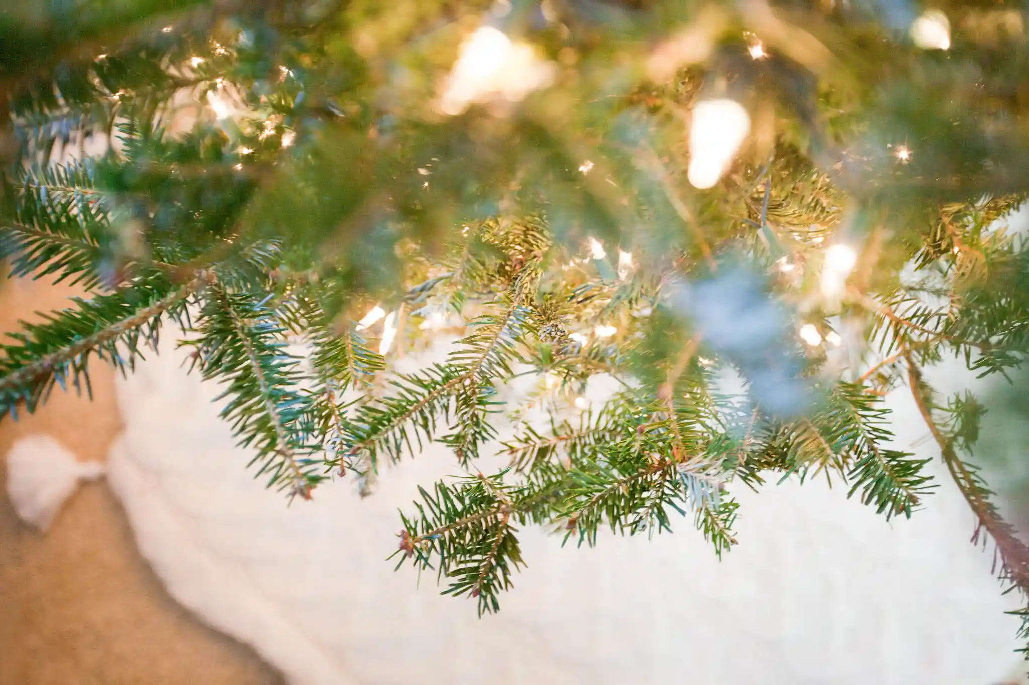 Origins of Holiday Greenery | ScottsMiracle-Gro US