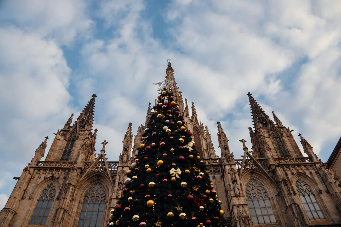 Ornate christmas tree in front of a grand gothic cathedral