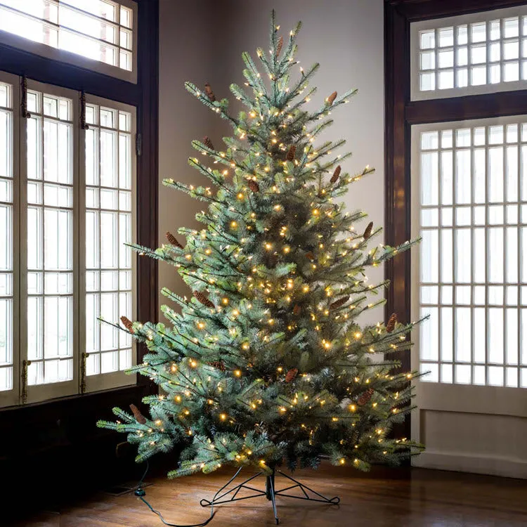 Park Hill 7.5' Blue Spruce LED Clear & Multi Option