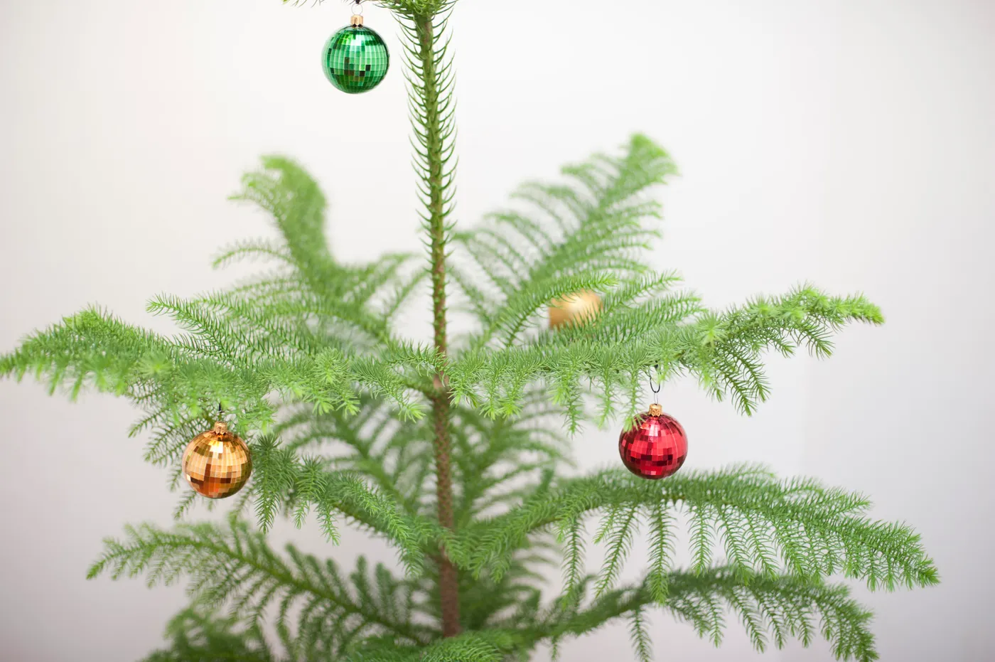 Photo of Natural pine tree with Christmas decorations | Free christmas  images
