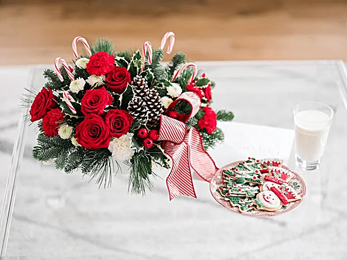Popular Christmas Flowers & Their Meanings | Teleflora