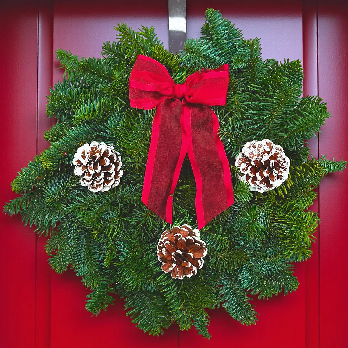 Real Christmas Wreath 8 inch Classic Red - Fresh Fir Handcrafted Luxury  Seasonal Indoor & Outdoor Christmas Decoration