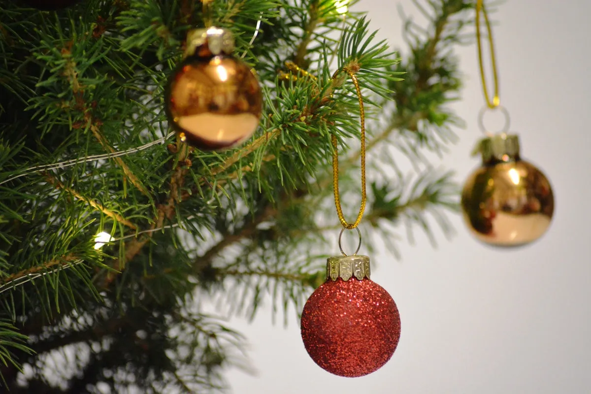 Real Mini Christmas Tree | KissMe Mistletoe