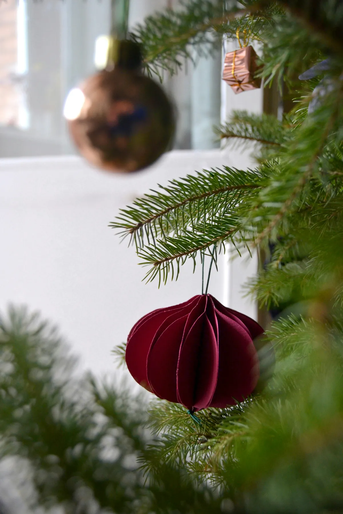red and gold bauble on green pine tree
