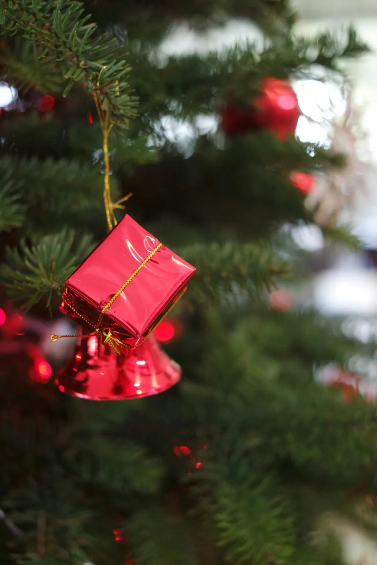 red and gold gift box on green christmas tree