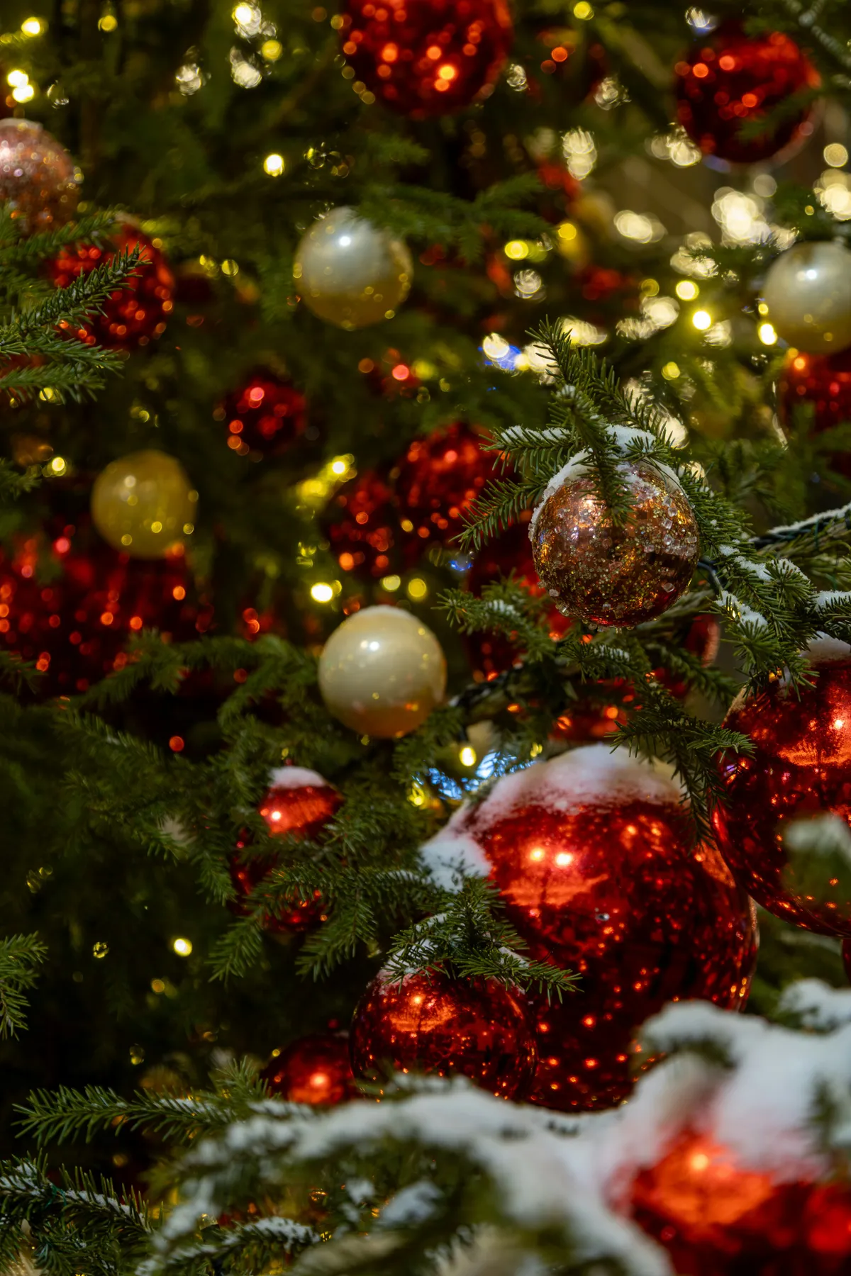 Red and gold ornaments on a snowy christmas tree - Free Photo on Unsplash