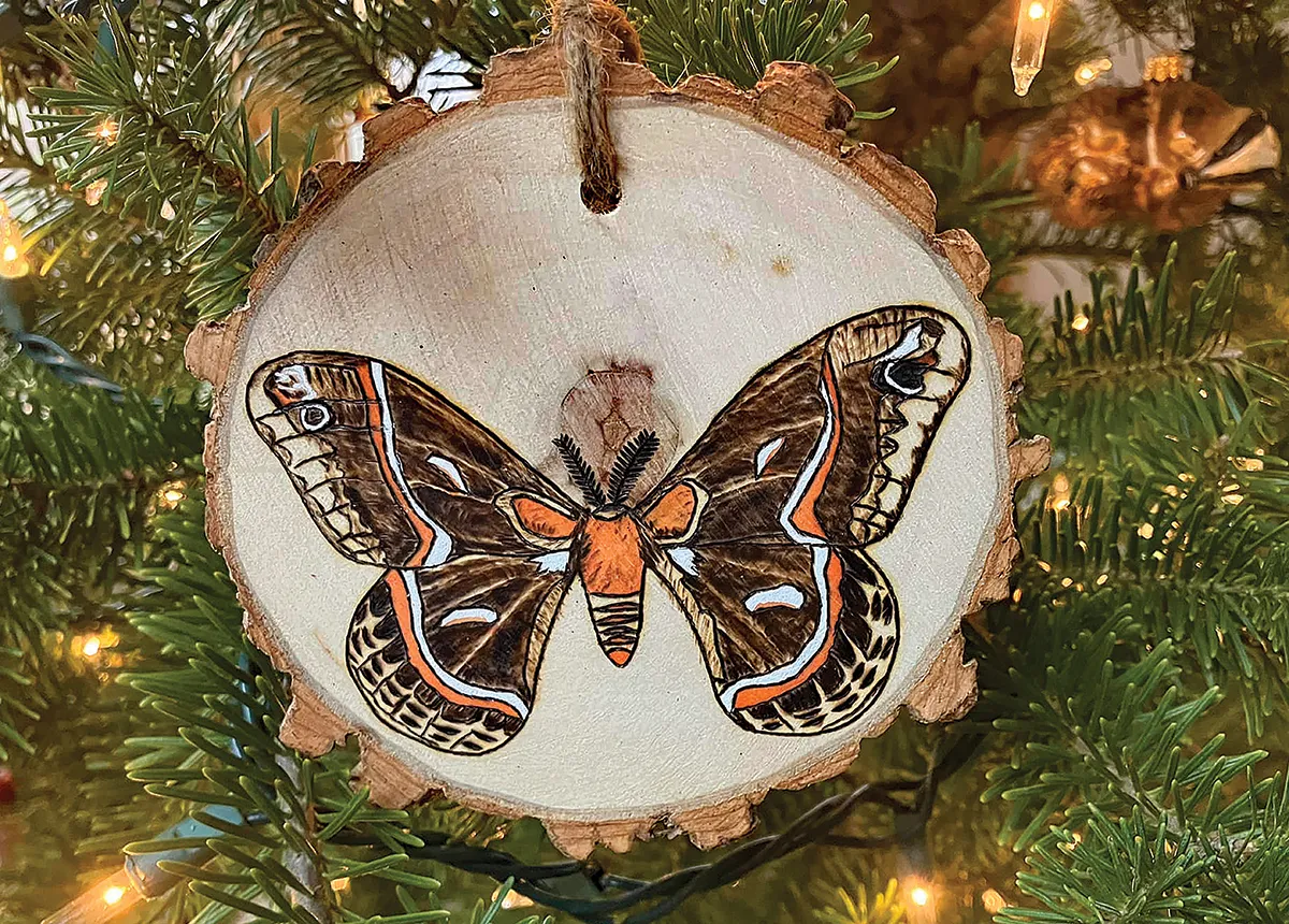 Repurposing your Christmas tree - Farm and Dairy