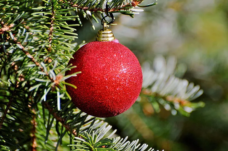 Royalty-Free photo: Selective focus photography of red bauble | PickPik