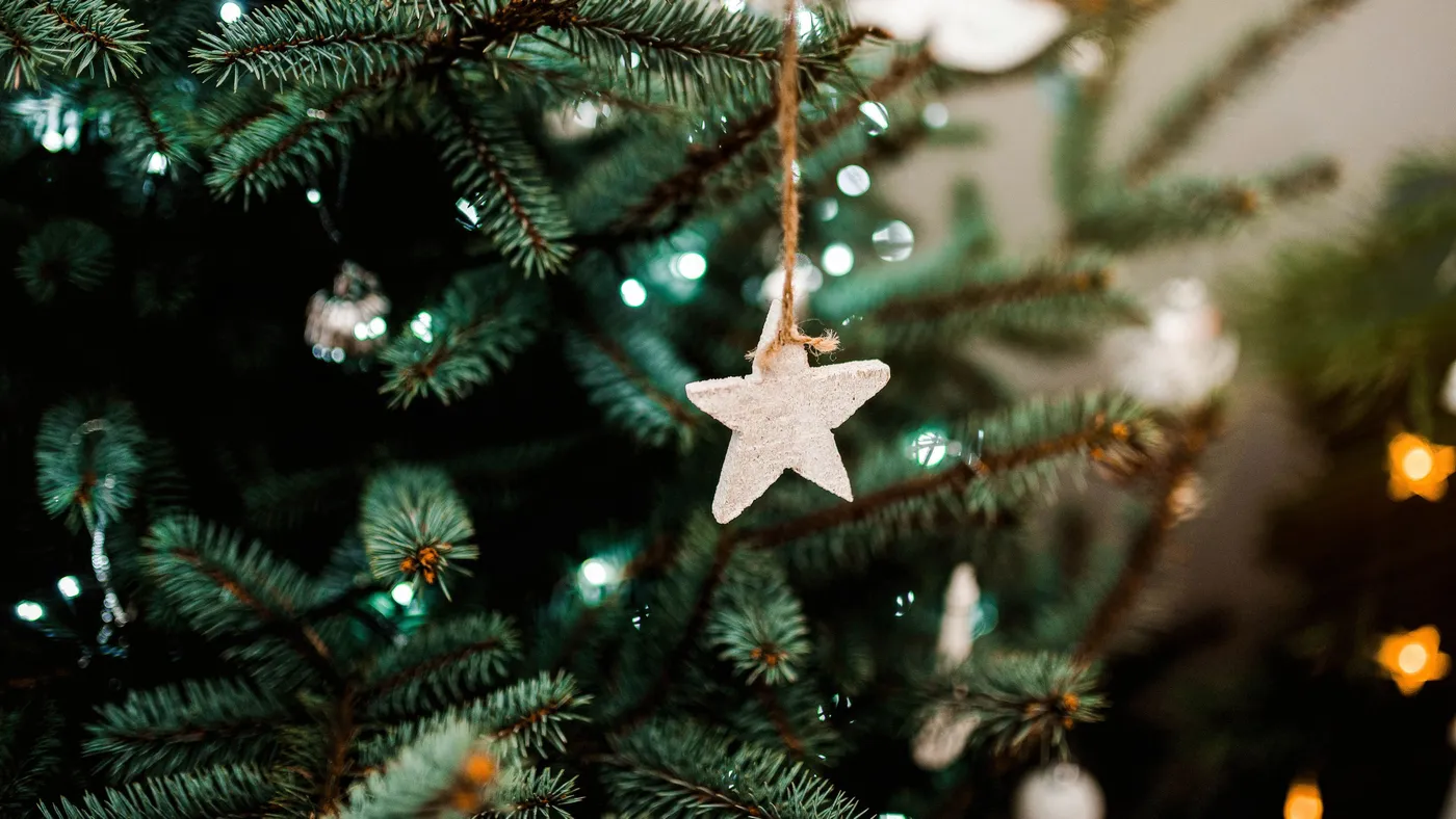 Rustic Star Christmas Tree Wallpaper 4K | Backdrova