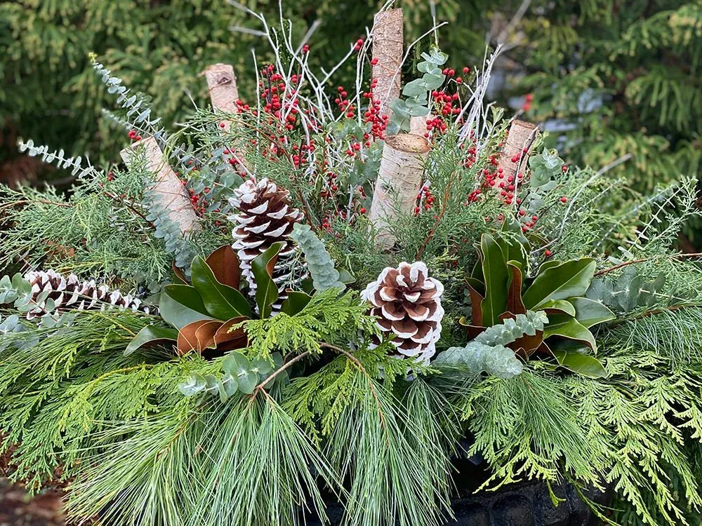 Seasonal Containers — Fern & Flora