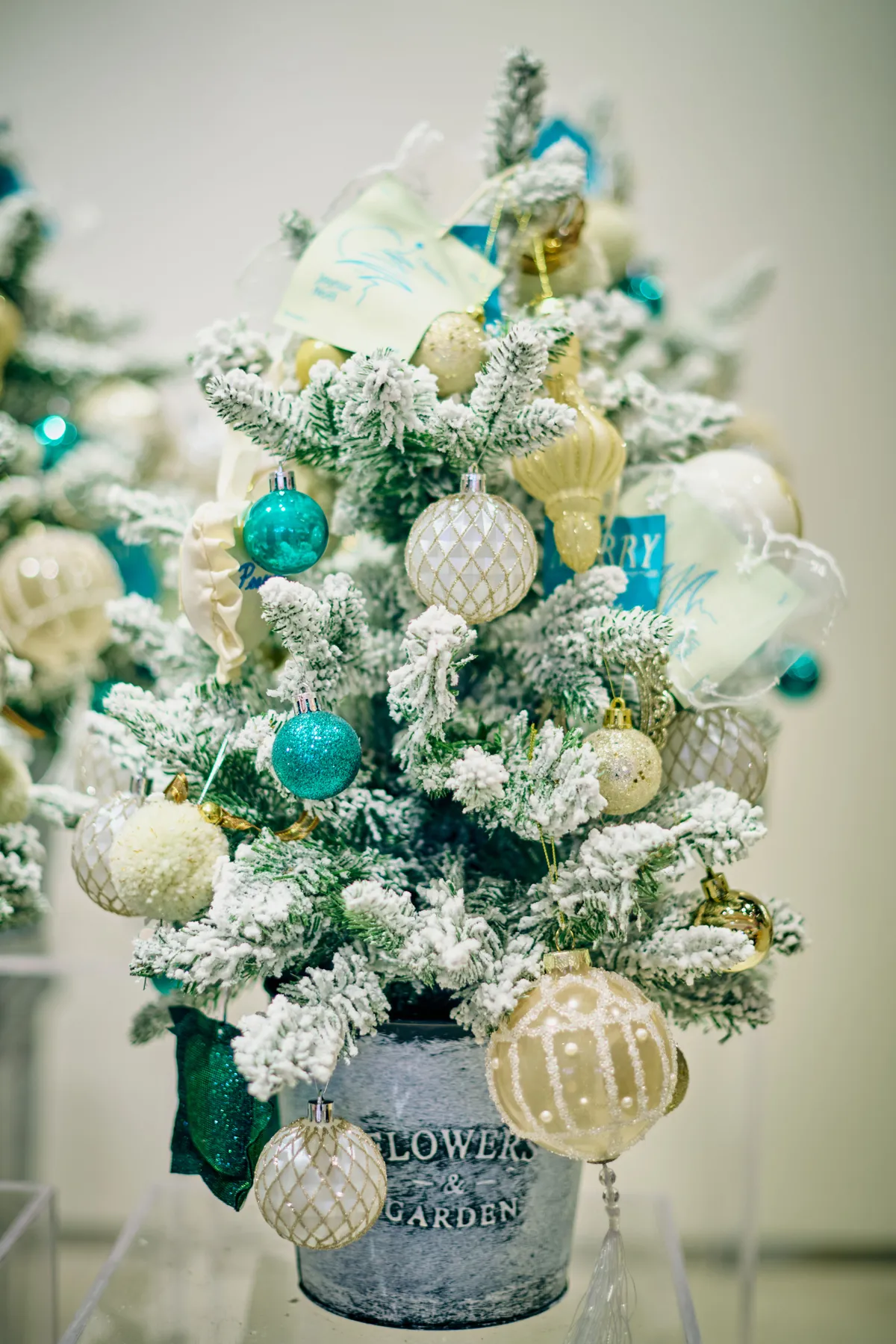 Small frosted Christmas tree with blue and cream ornaments in a pot, indoor setting.