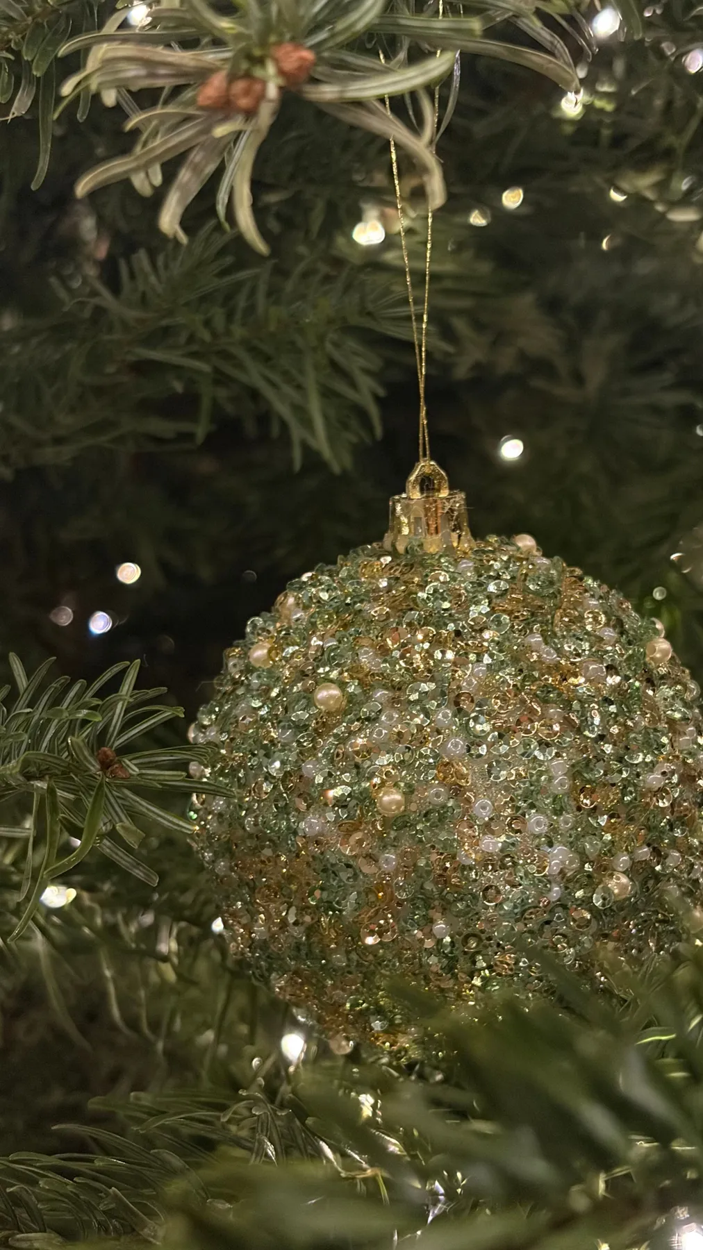 Sparkling Christmas Ornament on Green Tree Branch · Free Stock Photo
