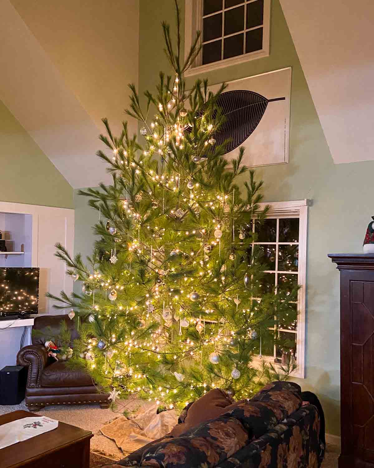 Stalking the Wild Christmas Tree (Cut Your Own) – Art of Natural Living