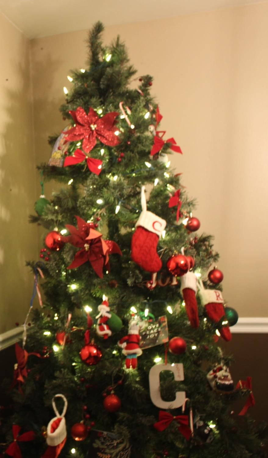 The battle between Christmas trees – The Edge