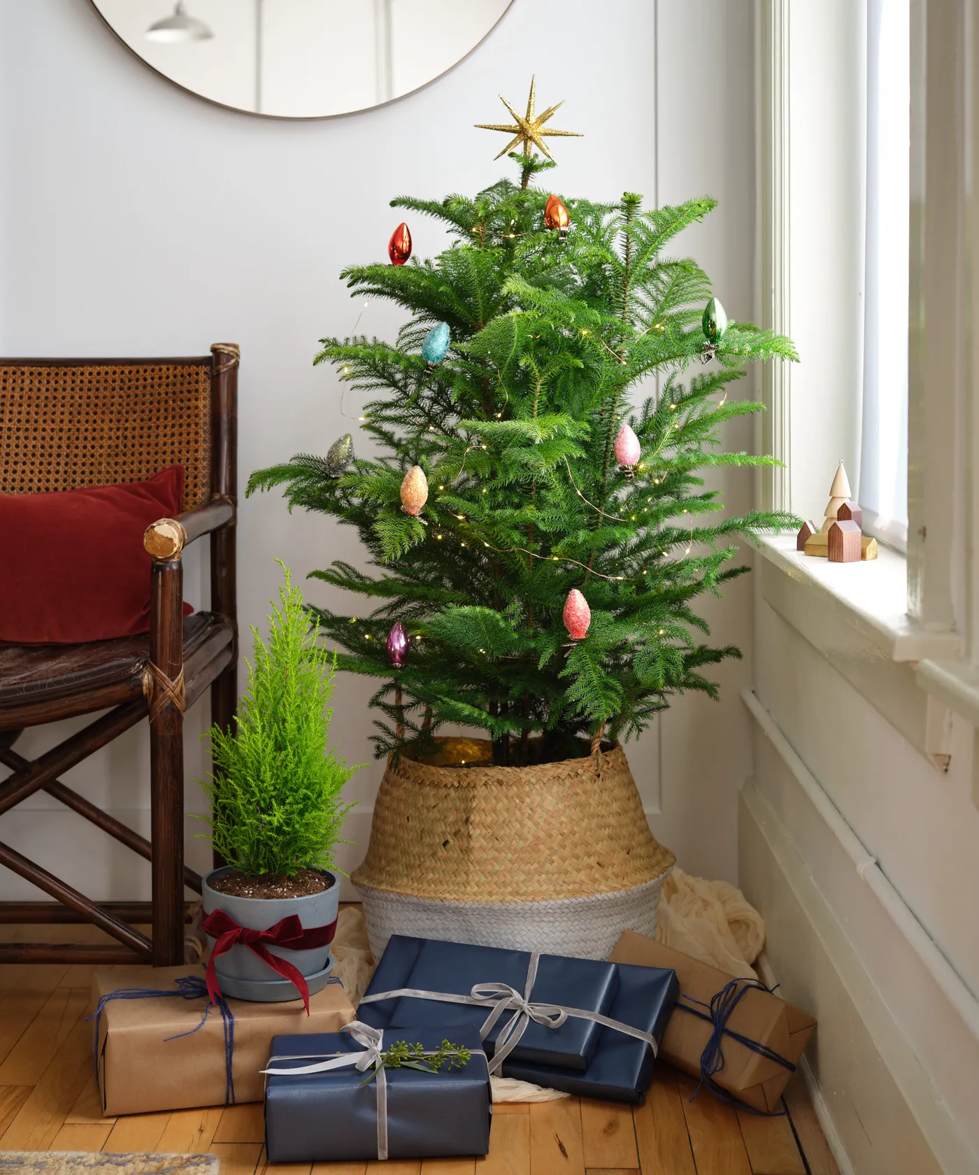 The Benefits Of A Living Christmas Tree | Bloomscape