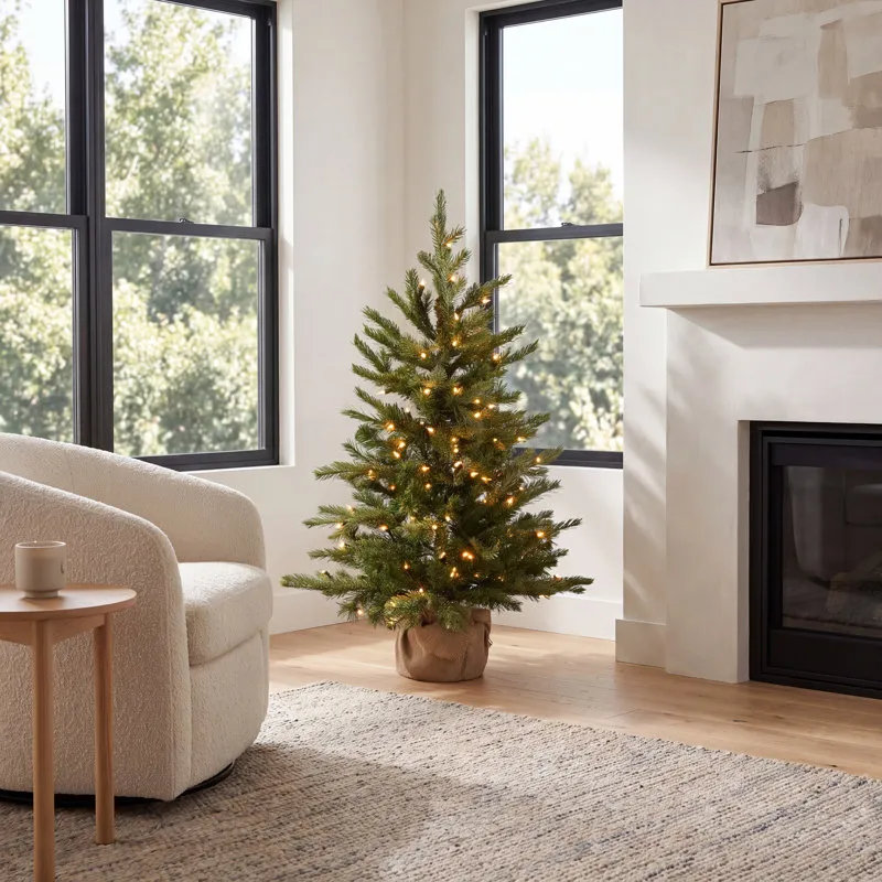 The Holiday Aisle® Nordic Pre-Lit Spruce Tree & Reviews | Joss & Main