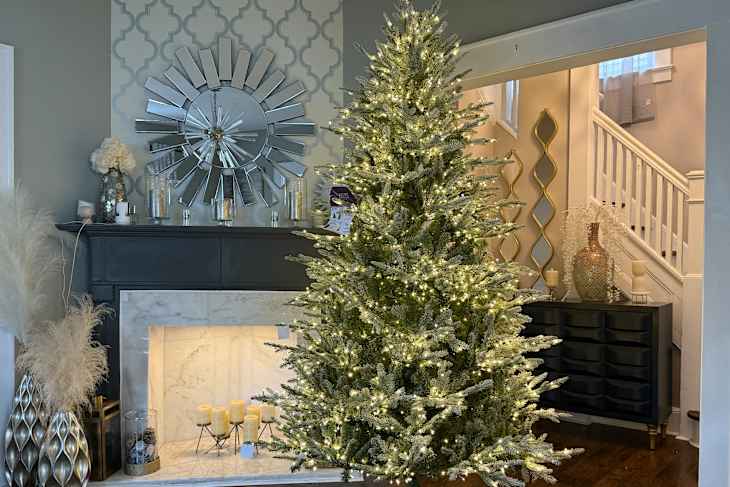 The Home Depot Grand Duchess Tree Is Absolute Perfection | Apartment Therapy