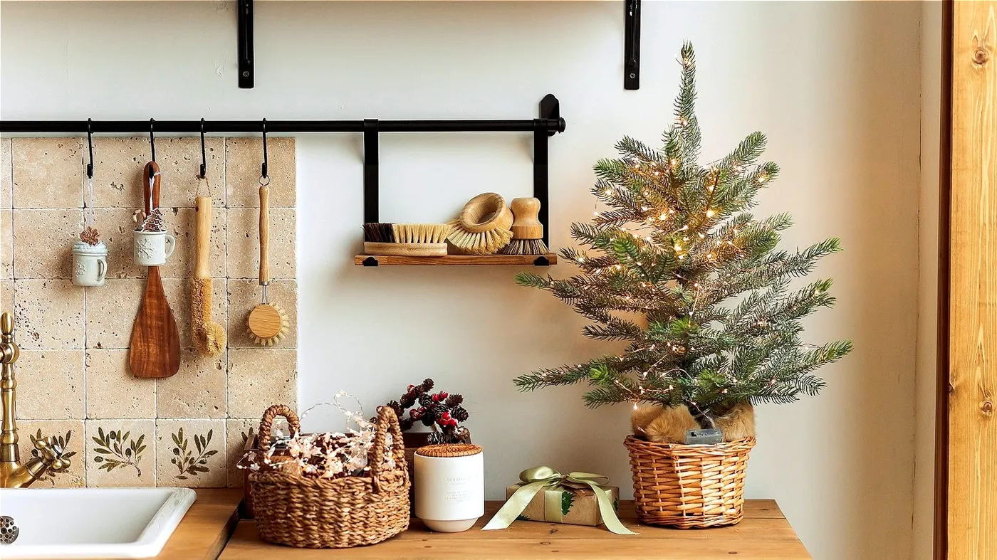 This Houseplant Is The Perfect Christmas Tree Alternative For Your Small  Space