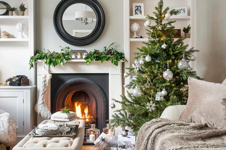 Tips for Your Live Christmas Tree - Kiwi Nurseries
