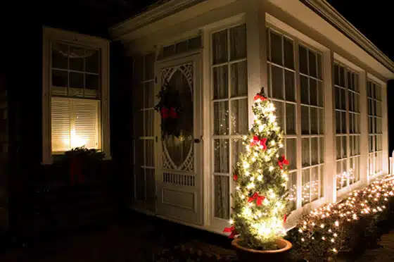 Tips to Care for a Live Christmas Tree