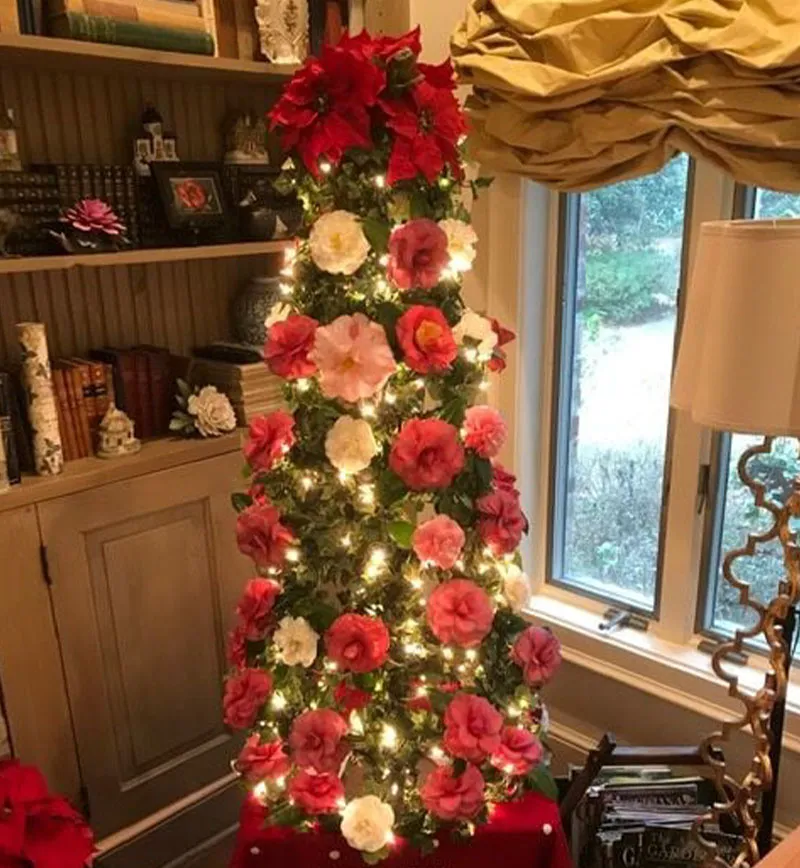 Top 7 White Christmas Flowers to Brighten Your Holiday Decor
