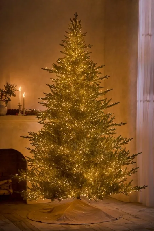 Twinkling Christmas Trees - Designer Picks | Foter