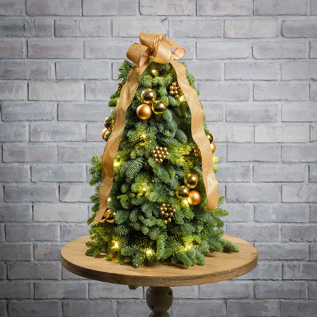 Twinkling Tranquility: The Magic of a Pre-Lit Tabletop Christmas Tree –  Lynch Creek Farm