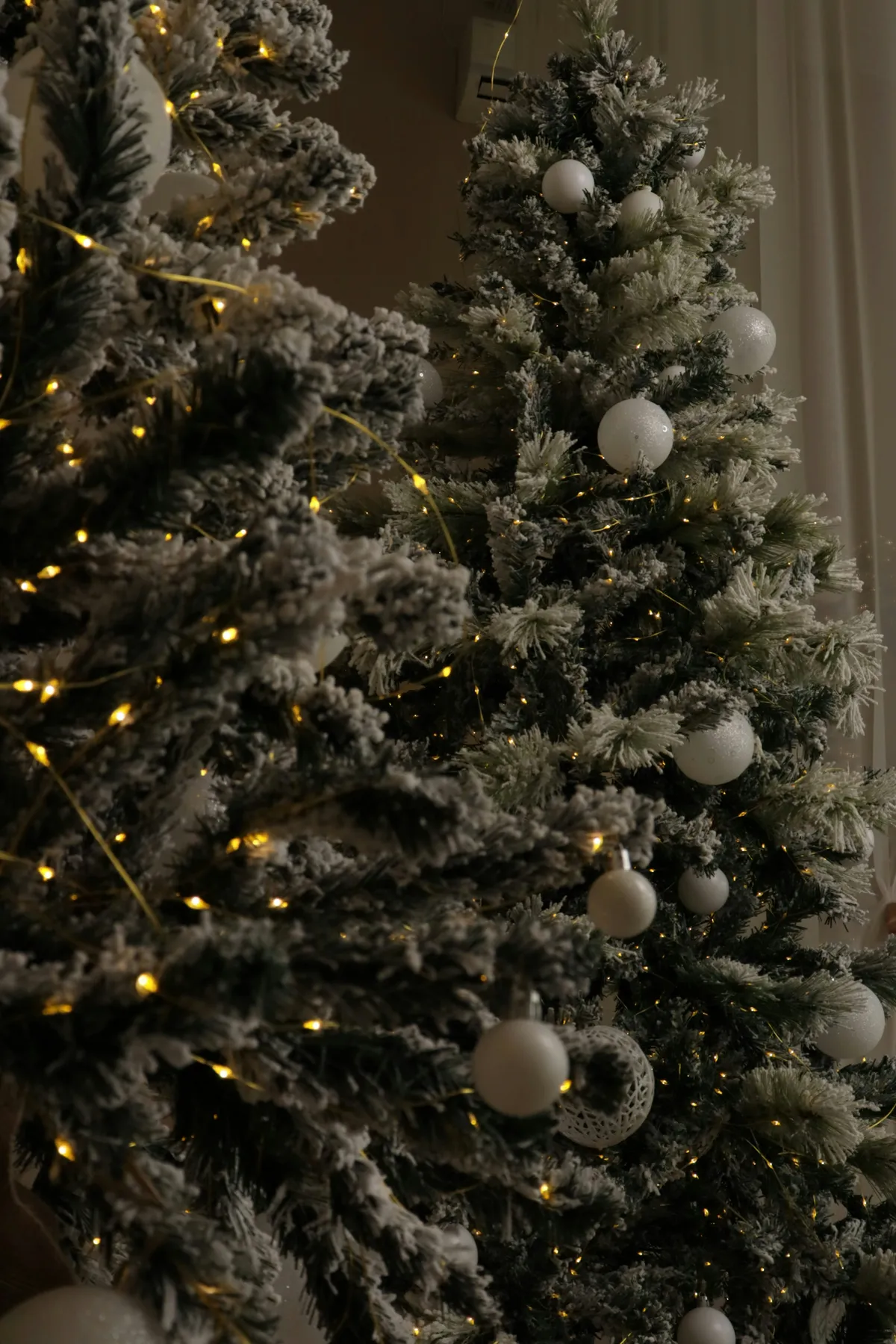 Two decorated christmas trees with warm lights - Free Photo on Unsplash