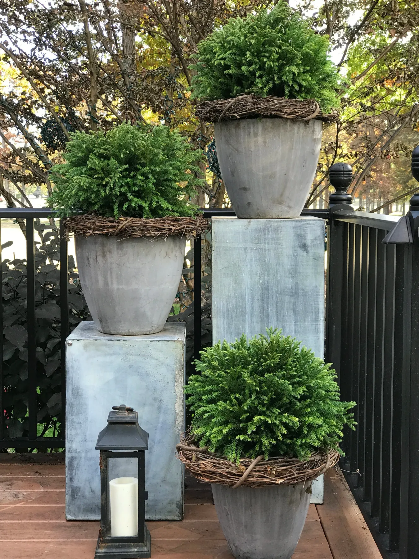Using Evergreens in Container Gardens — Contained Creations