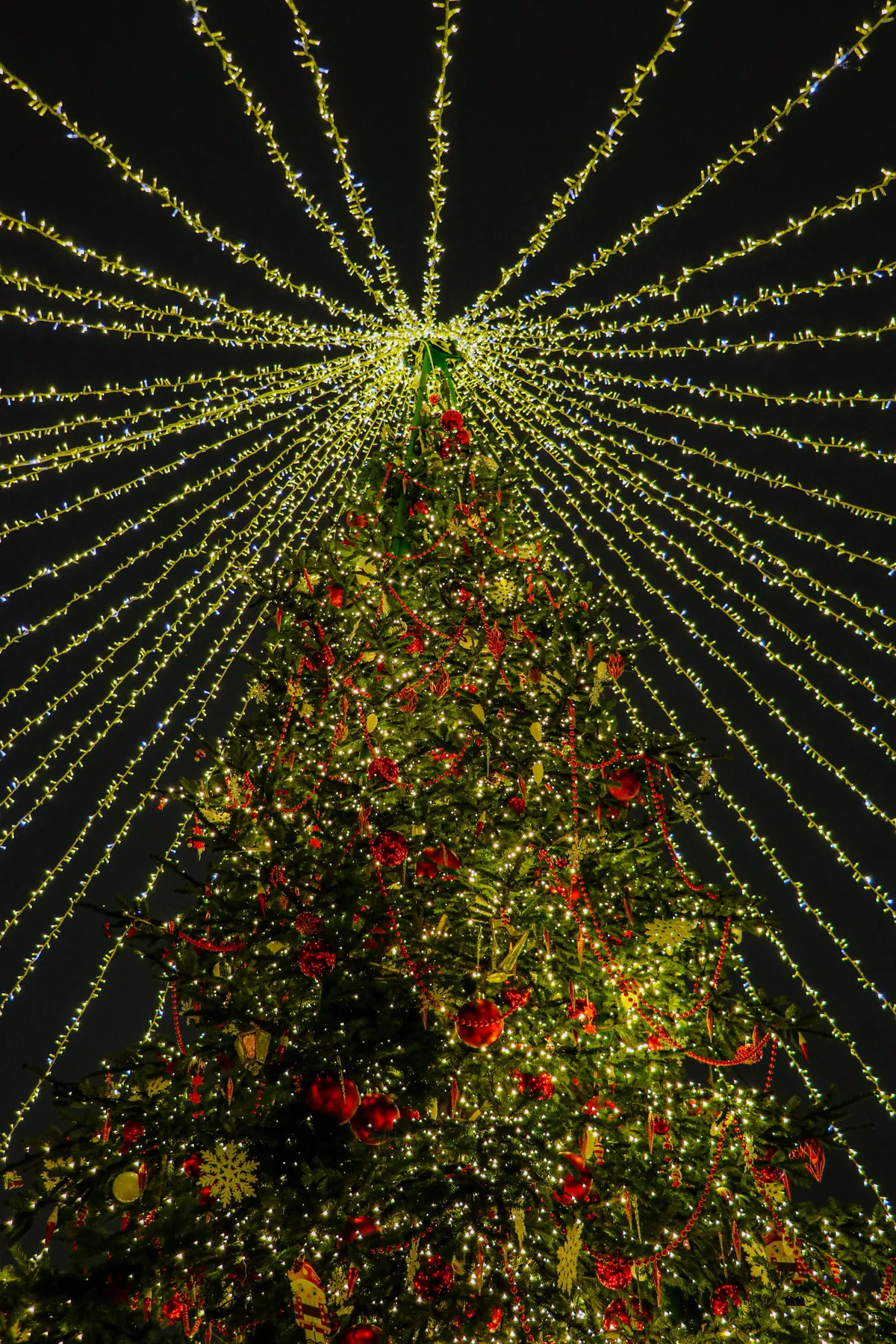 Vibrant Christmas tree in Moscow adorned with lights and decorations on a winter night.