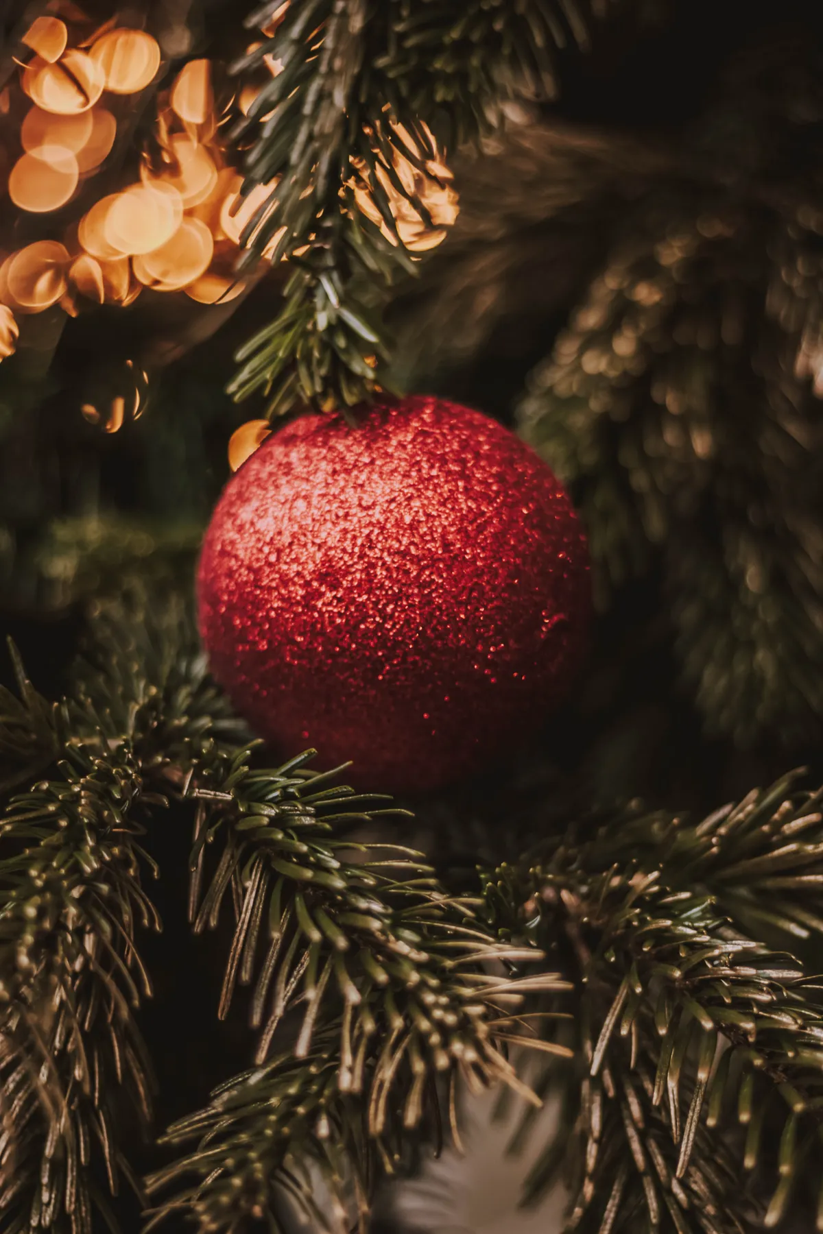 Wallpaper Christmas Day, New Year, Christmas Ornament, Christmas, Tree,  Background - Download Free Image