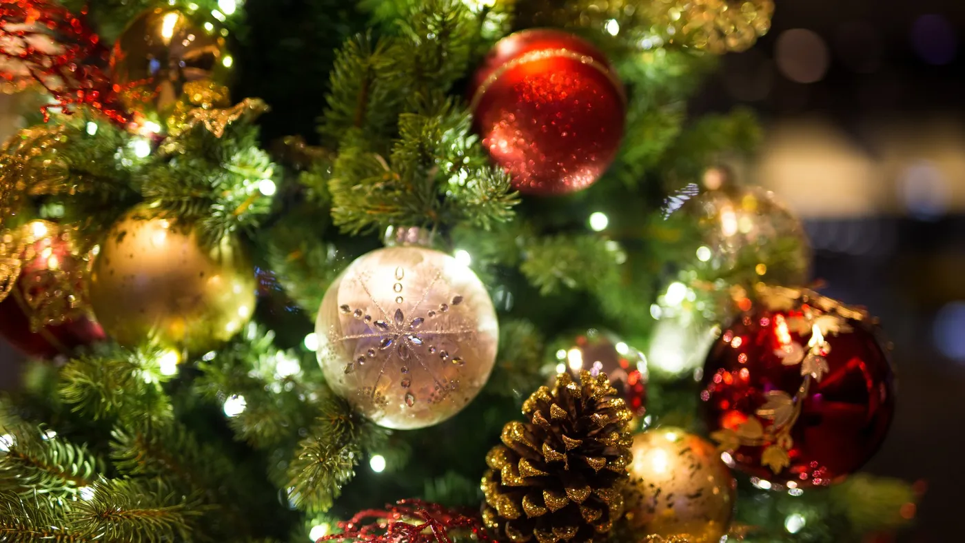 Why do we have Christmas trees? - BBC Newsround