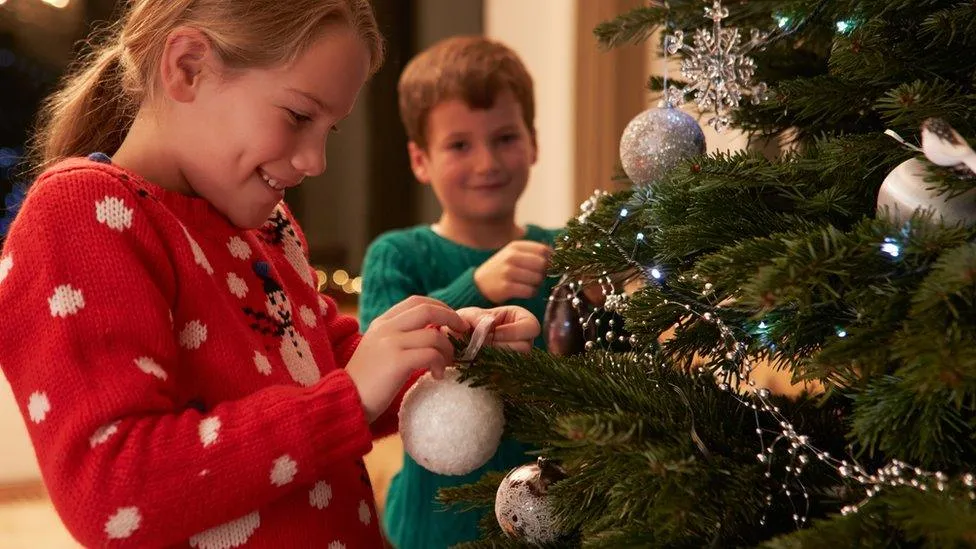 Why do we have Christmas trees? - BBC Newsround
