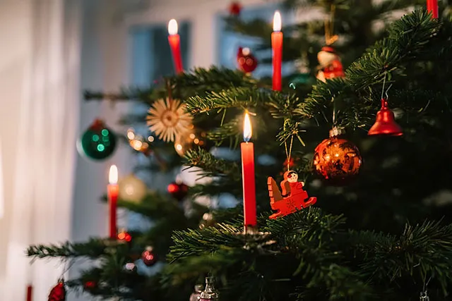 Why we put up a Christmas tree: History & more