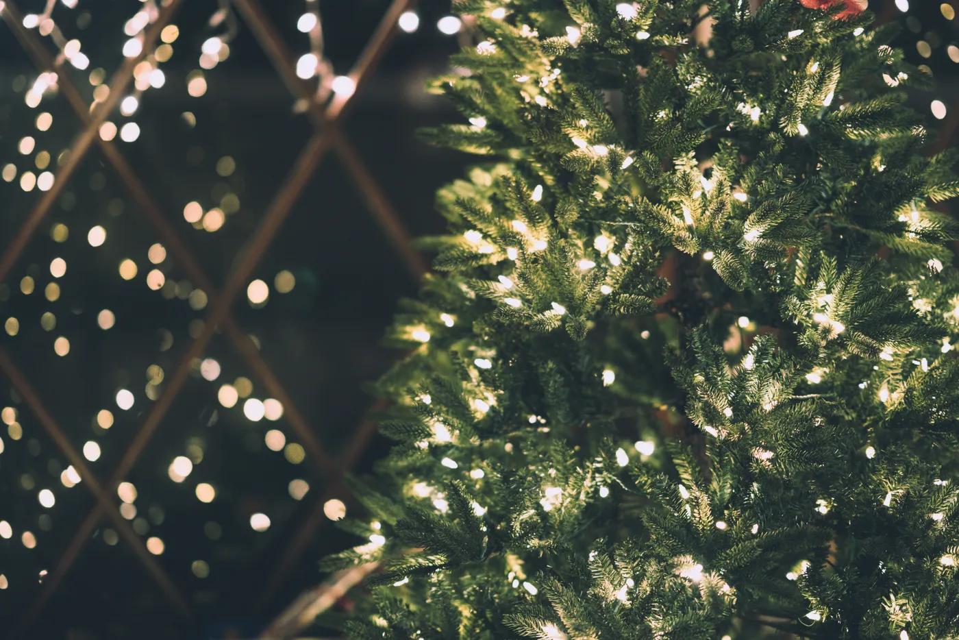 Why Your Christmas Decorations Are Witchy (Yes, Even The Mistletoe)
