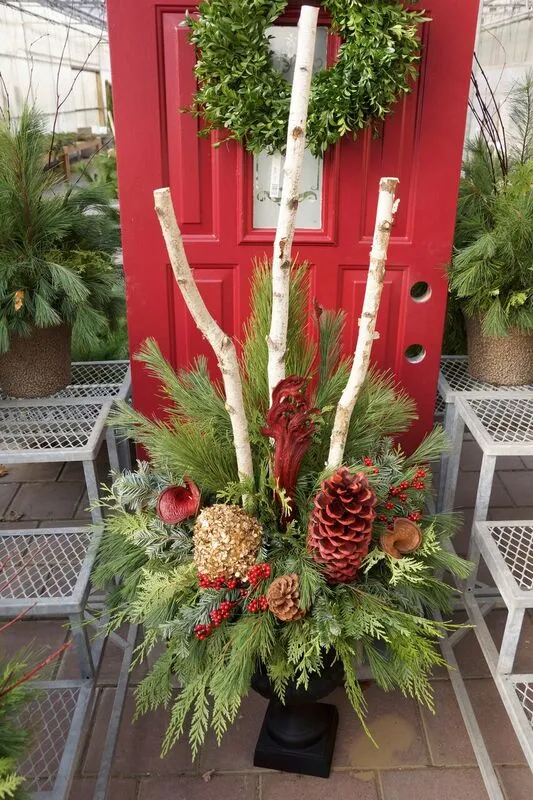 Winter Holiday Porch Pots – CLASS FULL – St.Mary's Nursery & Garden Centre Ltd.