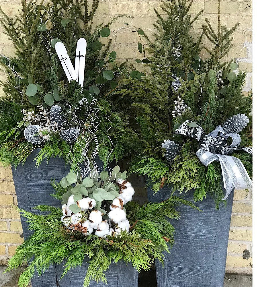 Winter planters with greenery and festive holiday potted plants.