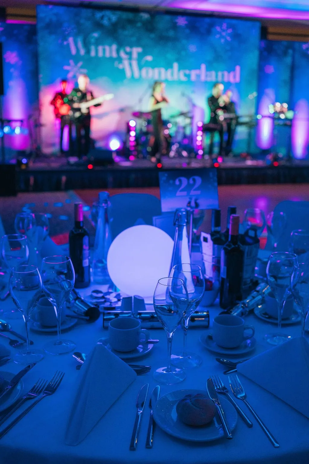 Winter Wonderland Ball | Exclusive Christmas Party 2026