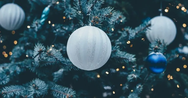 Wondering what to do with a Christmas tree? | Valley West Landscapes