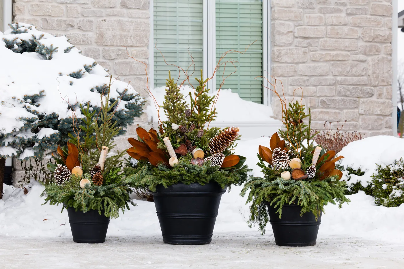 Woodland Winter Collection - Porch Pots Direct