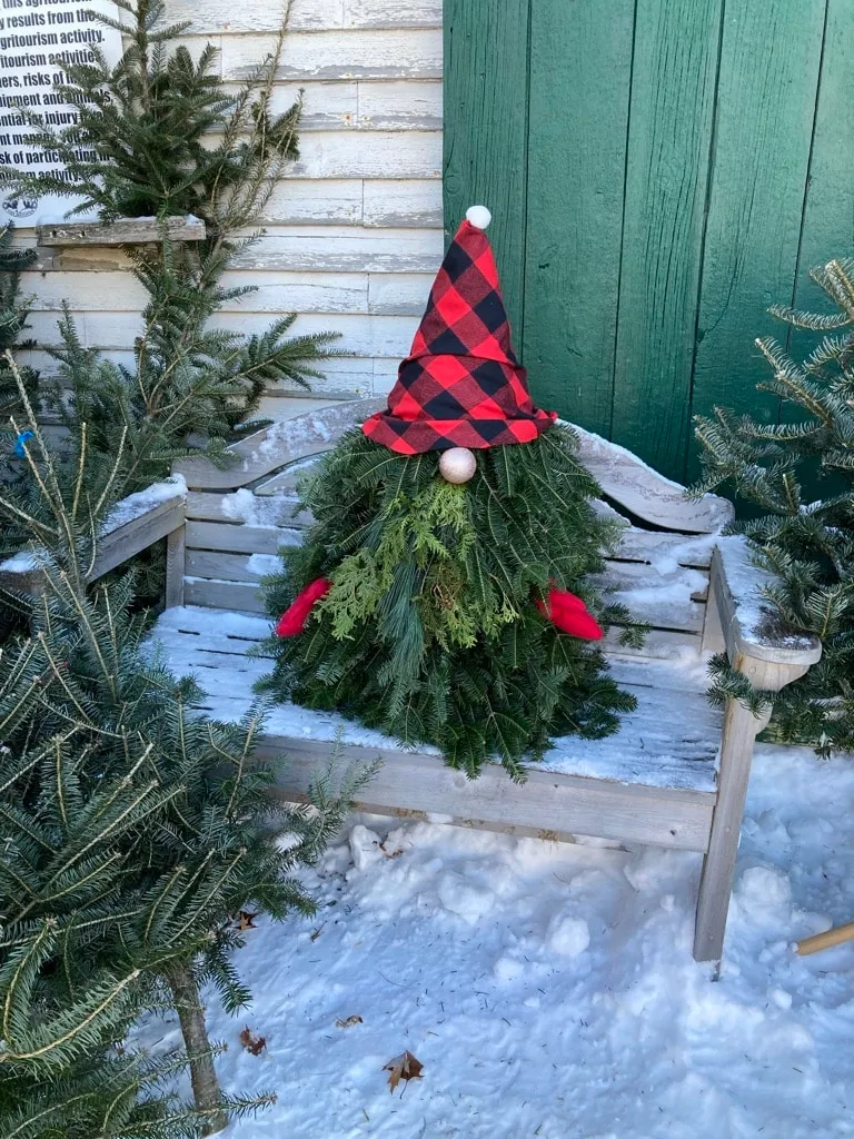 Wreaths & Greens - Nutkin Knoll Farm