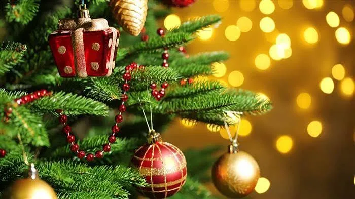 Your Christmas Tree Could Be Dangerous | Bahamas Real Estate - Luxury  Bahamas Real Estate | BHGRE MCR Bahamas